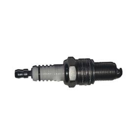 Compre Vela de ignição da BUGIAD BSP24723 a um preço baixo por 4,83 €