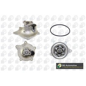 Comprar Bomba de agua de BGA CP14252 a bajo precio de 29,82 €