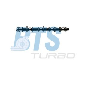 Acquista Albero a camme da BTS TURBO CP17605 a buon mercato per soli 234,88 €