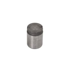 Comprar Émbolo, pinza del freno de LAUBER CQ71364715 a bajo precio de 12,90 €