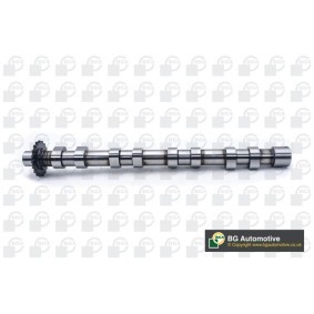 Achetez des Arbre à came BGA CS5523 à prix pour 146,55 €