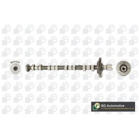 Acquista Albero a camme da BGA CS6100 a buon mercato per soli 234,12 €