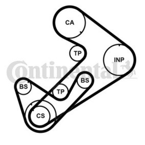 Achetez des Kit de distribution CONTITECH CT921K3PRO à prix pour 127,14 €