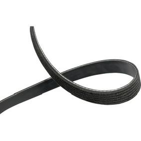 Achetez des Courroie Poly-V KAVO PARTS DMV-6527 à prix pour 21,53 €