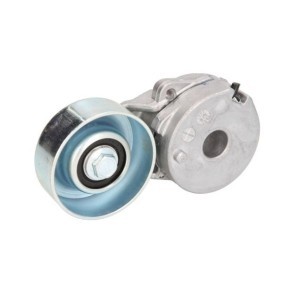 Achetez des Galet tendeur de courroie d'accessoire BTA E25010BTA à prix pour 21,11 €