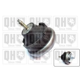Acquista Supporto motore da QUINTON HAZELL EM4259 a buon mercato per soli 43,50 €