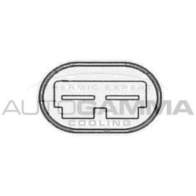 Kühlerlüfter für RENAULT von AUTOGAMMA
