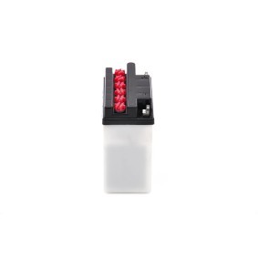 Rückleuchten-Ersatzteile des Herstellers BOSCH - Originalware Artikelnummer: 0 319 303 254