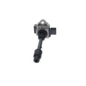 Osta Lasi, takavalo BOSCH:llä 0 319 310 253 edullisesti hintaan 71,97 €