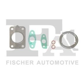 Acquista Kit montaggio turbocompressore da FA1 KT110300E a buon mercato per soli 9,89 €