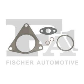 Acquista Kit montaggio turbocompressore da FA1 KT110470E a buon mercato per soli 6,10 €