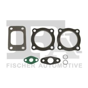Compre Kit de montagem, turbocompressor da FA1 KT160005E a um preço baixo por 12,59 €