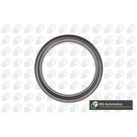 Kurbelwellensimmering von BGA