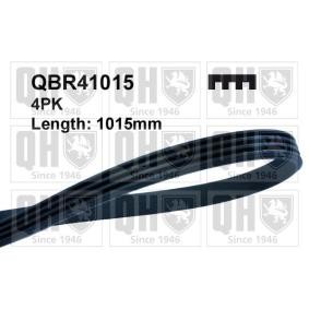 Compre Correia trapezoidal estriada da QUINTON HAZELL QBR41015 a um preço baixo por 12,71 €