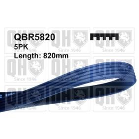 Compre Correia trapezoidal estriada da QUINTON HAZELL QBR5820 a um preço baixo por 9,76 €