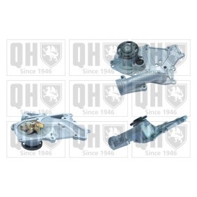 Wasserpumpe QCP3789 KIA MOHAVE / BORREGO von QUINTON HAZELL