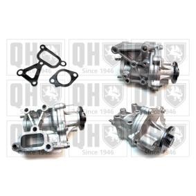 Achetez des Pompe à eau QUINTON HAZELL QCP3818BH à prix pour 122,45 €
