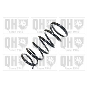 Acquista Molle ammortizzatori da QUINTON HAZELL QCS6801 a buon mercato per soli 47,77 €