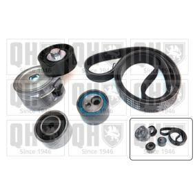 Compre Jogo de correias trapezoidais estriadas da QUINTON HAZELL QDK81 a um preço baixo por 128,87 €