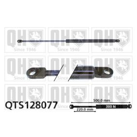 Achetez des Vérin de coffre QUINTON HAZELL QTS128077 à prix pour 28,46 €
