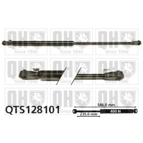 Achetez des Vérin de coffre QUINTON HAZELL QTS128101 à prix pour 30,52 €