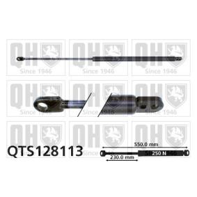 Achetez des Vérin de coffre QUINTON HAZELL QTS128113 à prix pour 21,70 €