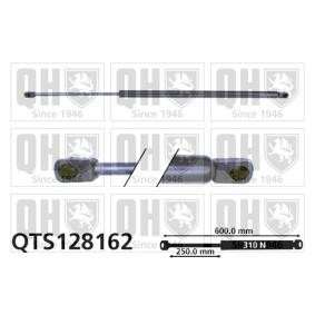Achetez des Vérin de coffre QUINTON HAZELL QTS128162 à prix pour 47,86 €