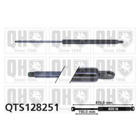 Achetez des Vérin de coffre QUINTON HAZELL QTS128251 à prix pour 32,96 €