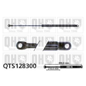 Achetez des Vérin de coffre QUINTON HAZELL QTS128300 à prix pour 21,70 €