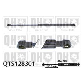Achetez des Vérin de coffre QUINTON HAZELL QTS128301 à prix pour 22,20 €