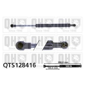 Achetez des Vérin de coffre QUINTON HAZELL QTS128416 à prix pour 31,72 €