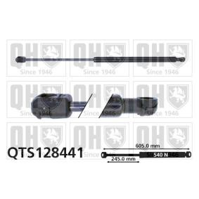 Achetez des Vérin de coffre QUINTON HAZELL QTS128441 à prix pour 27,58 €
