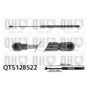 Achetez des Vérin de coffre QUINTON HAZELL QTS128522 à prix pour 17,65 €