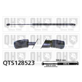 Achetez des Vérin de coffre QUINTON HAZELL QTS128523 à prix pour 27,37 €