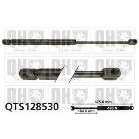 Heckklappendämpfer QTS128530