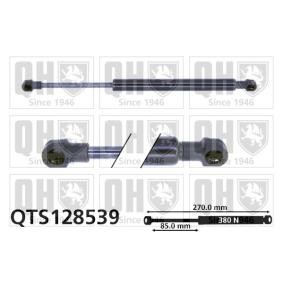 Achetez des Vérin de coffre QUINTON HAZELL QTS128539 à prix pour 35,37 €