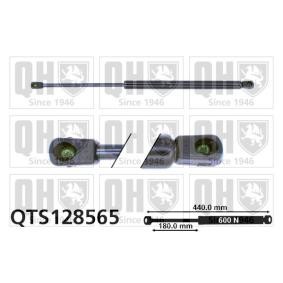 Achetez des Vérin de coffre QUINTON HAZELL QTS128565 à prix pour 19,75 €