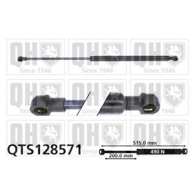 Achetez des Vérin de coffre QUINTON HAZELL QTS128571 à prix pour 23,35 €