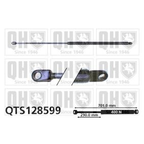 Achetez des Vérin de coffre QUINTON HAZELL QTS128599 à prix pour 25,68 €
