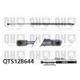Achetez des Vérin de coffre QUINTON HAZELL QTS128644 à prix pour 32,64 €