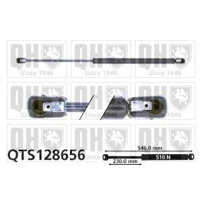Achetez des Vérin de coffre QUINTON HAZELL QTS128656 à prix pour 37,16 €
