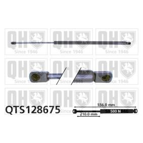 Achetez des Vérin de coffre QUINTON HAZELL QTS128675 à prix pour 21,30 €