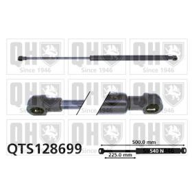 Achetez des Vérin de coffre QUINTON HAZELL QTS128699 à prix pour 20,73 €