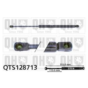 Achetez des Vérin de coffre QUINTON HAZELL QTS128713 à prix pour 33,31 €