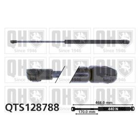 Achetez des Vérin de coffre QUINTON HAZELL QTS128788 à prix pour 32,96 €