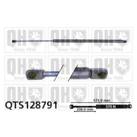 Achetez des Vérin de coffre QUINTON HAZELL QTS128791 à prix pour 38,23 €