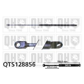 Achetez des Vérin de coffre QUINTON HAZELL QTS128856 à prix pour 31,27 €