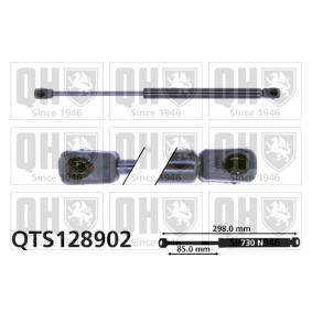 Achetez des Vérin de coffre QUINTON HAZELL QTS128902 à prix pour 23,13 €