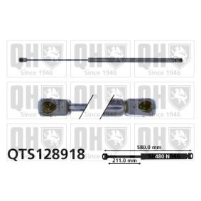 Achetez des Vérin de coffre QUINTON HAZELL QTS128918 à prix pour 21,30 €