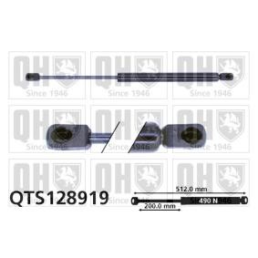 Achetez des Vérin de coffre QUINTON HAZELL QTS128919 à prix pour 27,46 €